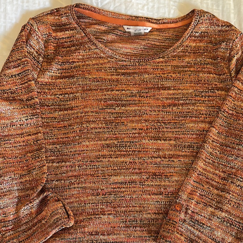 Allison Daley Size XL Multicolor Tunic Knit Sweater